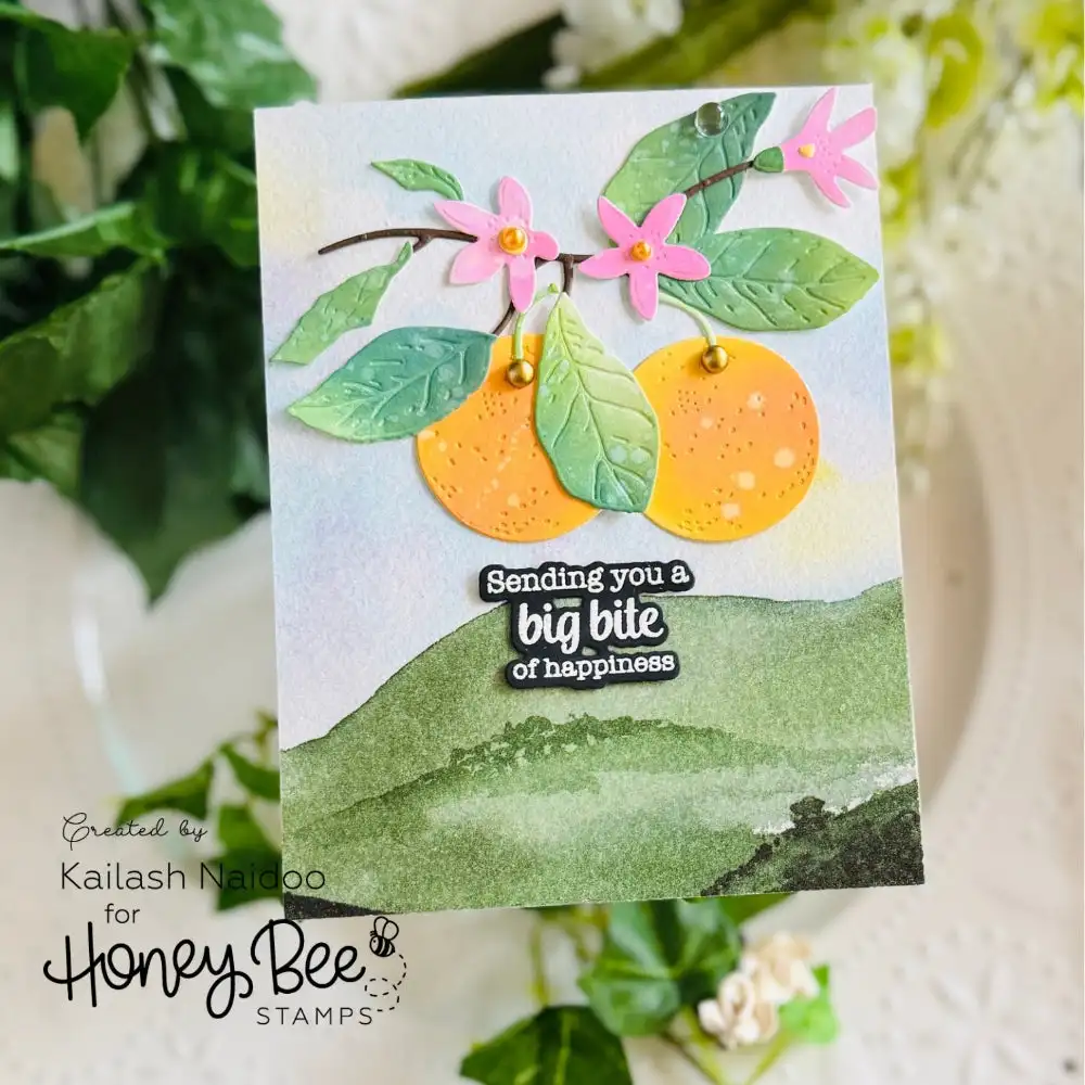 2026 July Perfect Picnic Relea - đánh giá và giá Summer Clothing Release
